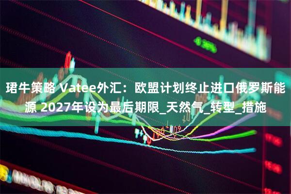 珺牛策略 Vatee外汇：欧盟计划终止进口俄罗斯能源 2027年设为最后期限_天然气_转型_措施