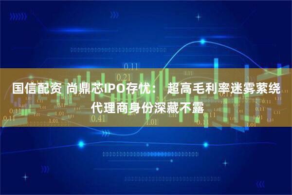 国信配资 尚鼎芯IPO存忧： 超高毛利率迷雾萦绕 代理商身份深藏不露