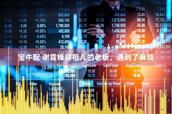 宝牛配 谢霆锋容祖儿的老板，遇到了麻烦