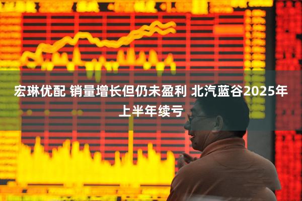宏琳优配 销量增长但仍未盈利 北汽蓝谷2025年上半年续亏