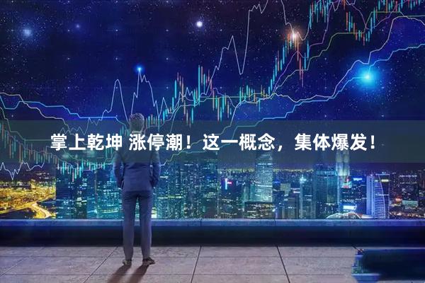 掌上乾坤 涨停潮！这一概念，集体爆发！