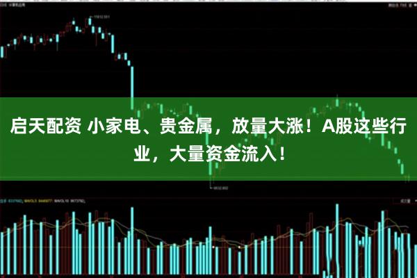 启天配资 小家电、贵金属，放量大涨！A股这些行业，大量资金流入！