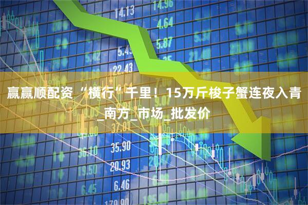 赢赢顺配资 “横行”千里！15万斤梭子蟹连夜入青_南方_市场_批发价