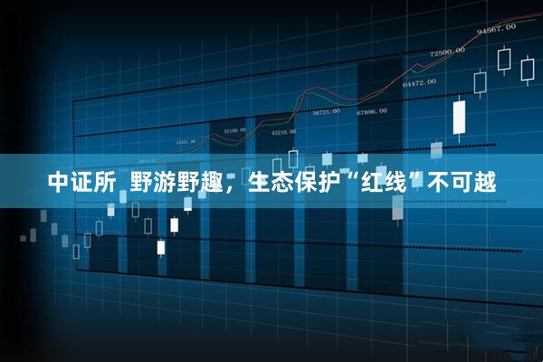 中证所  野游野趣，生态保护“红线”不可越