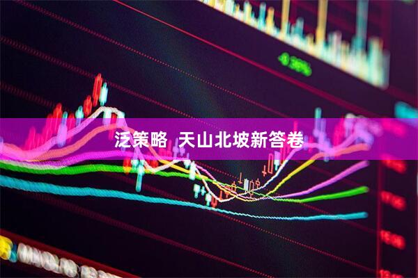 泛策略  天山北坡新答卷