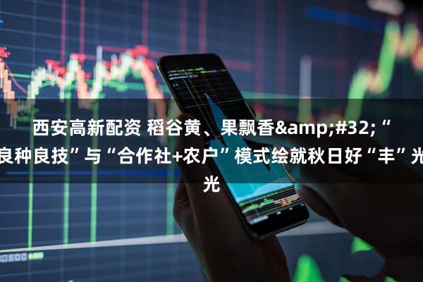 西安高新配资 稻谷黄、果飘香&#32;“良种良技”与“合作社+农户”模式绘就秋日好“丰”光