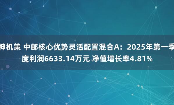 神机策 中邮核心优势灵活配置混合A：2025年第一季度利润6633.14万元 净值增长率4.81%