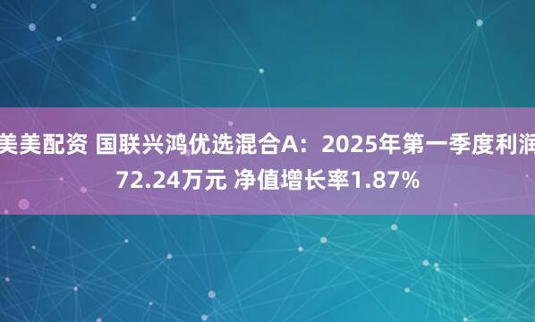美美配资 国联兴鸿优选混合A：2025年第一季度利润72.24万元 净值增长率1.87%