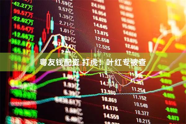 粤友钱配资 打虎！叶红专被查