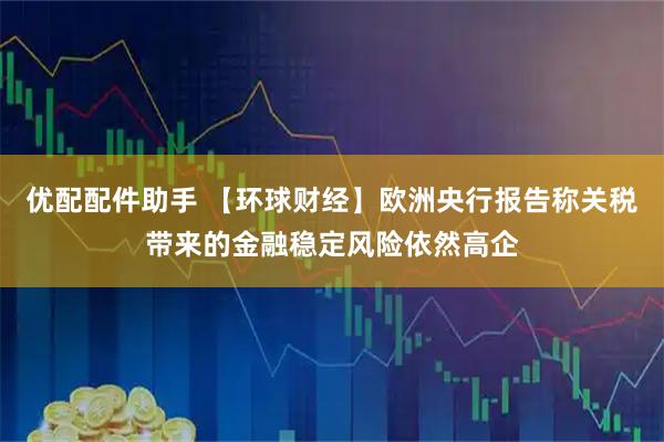 优配配件助手 【环球财经】欧洲央行报告称关税带来的金融稳定风险依然高企