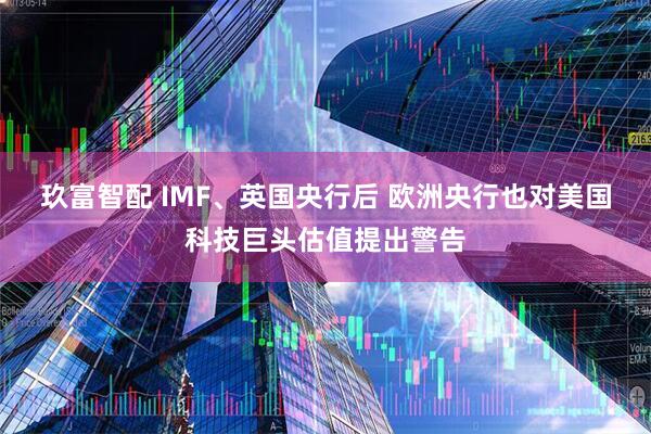 玖富智配 IMF、英国央行后 欧洲央行也对美国科技巨头估值提出警告