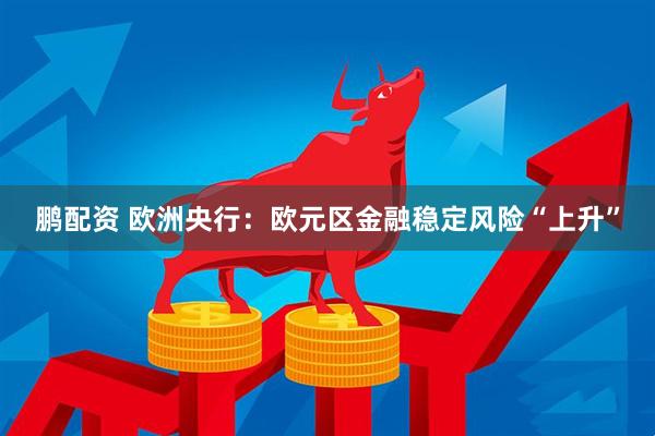 鹏配资 欧洲央行:欧元区金融稳定风险“上升”