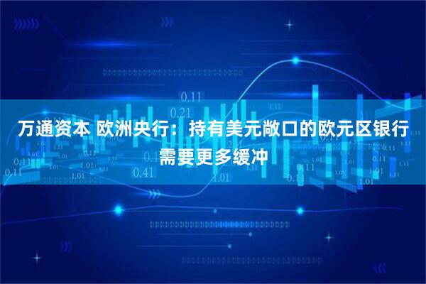 万通资本 欧洲央行:持有美元敞口的欧元区银行需要更多缓冲