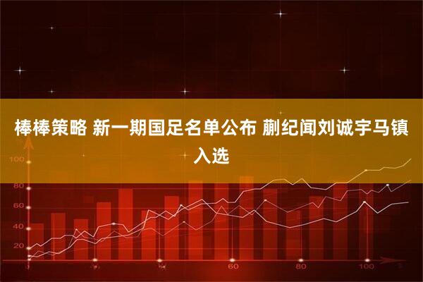 棒棒策略 新一期国足名单公布 蒯纪闻刘诚宇马镇入选